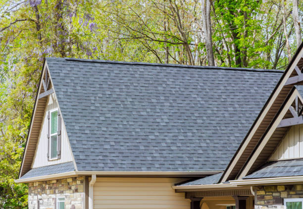 Best Roof Leak Repair  in New London, WI